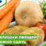 Организации системы образования закупают овощи у населения - Парабельский район