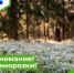 Внимание! Заморозки! - Парабельский район